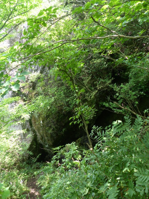 f0357487_20535972.jpg