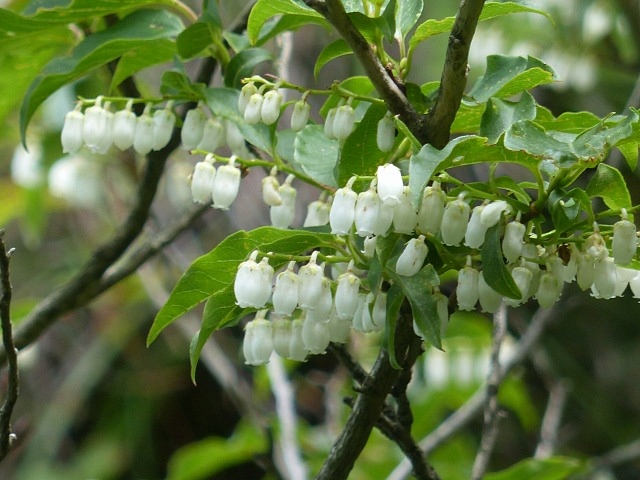 f0357487_20573164.jpg