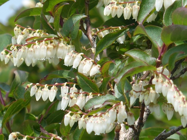 f0357487_2057784.jpg