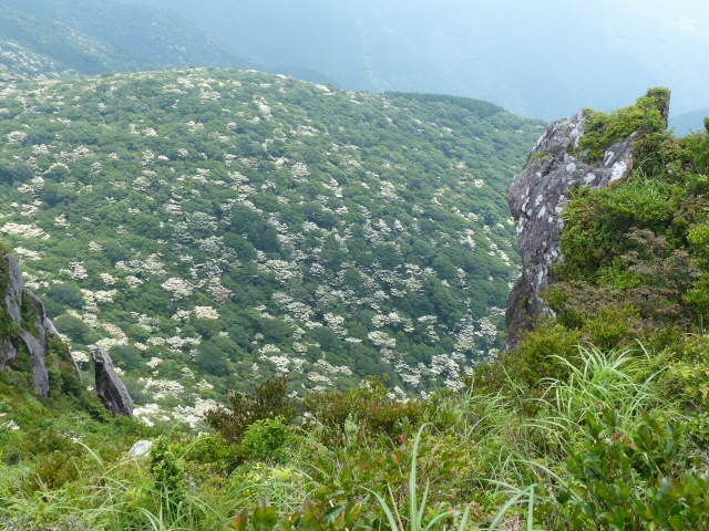 f0357487_2058171.jpg