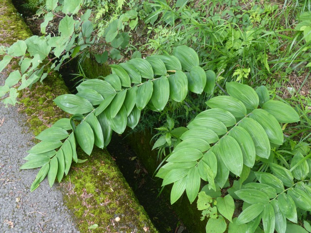 f0357487_2112425.jpg