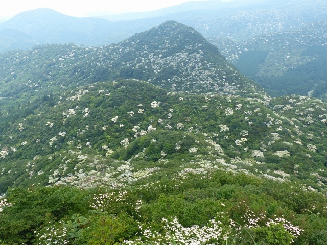 f0357487_2122949.jpg