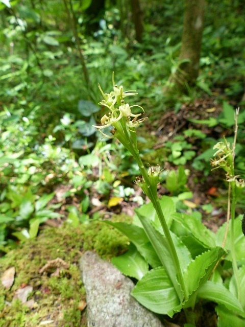 f0357487_215847.jpg