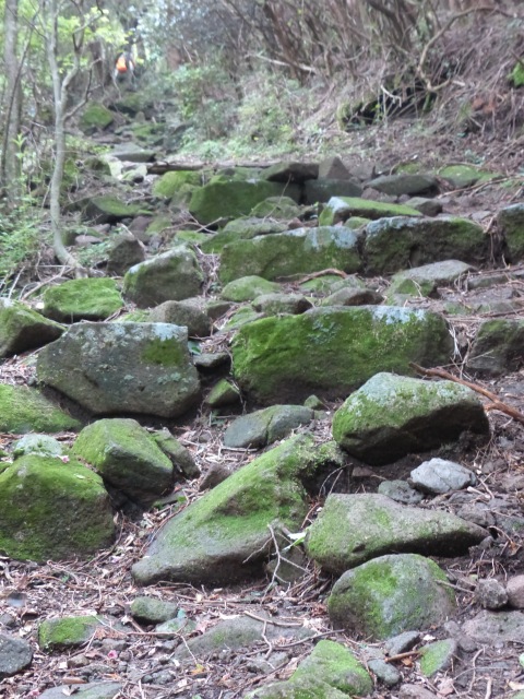 f0357487_2172894.jpg