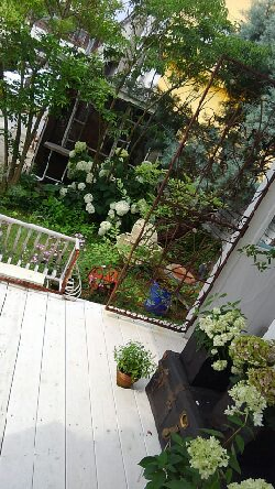 e0207503_22004580.png