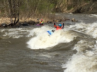 f0164003_1251167.jpg