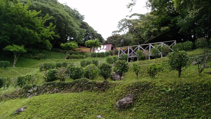 f0039907_12484921.jpg