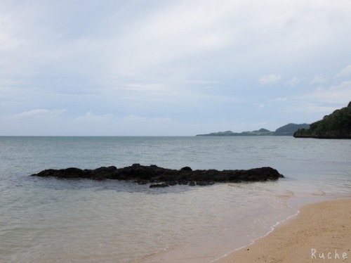 c0103830_16135411.jpg