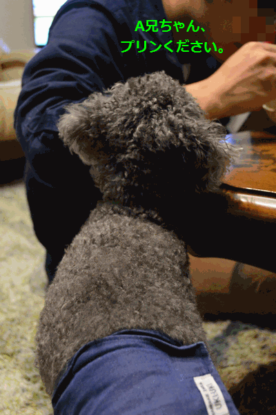 c0136736_10453293.gif
