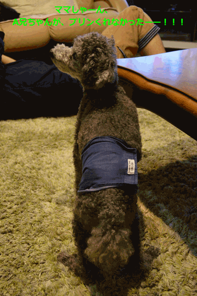 c0136736_10454069.gif