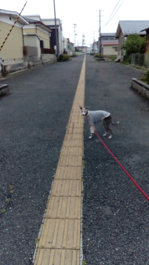 f0363538_22143159.jpg