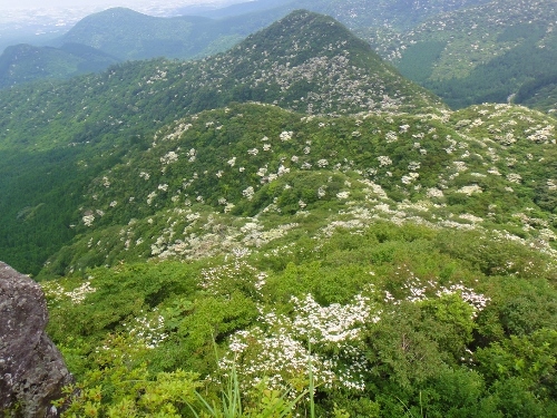c0179351_20215818.jpg