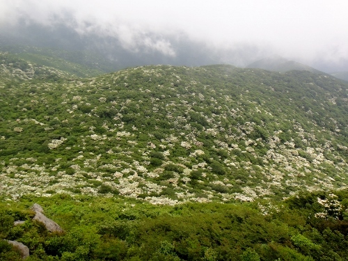 c0179351_20222937.jpg