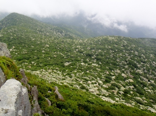 c0179351_20230449.jpg
