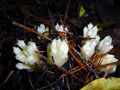 c0179351_20341040.jpg