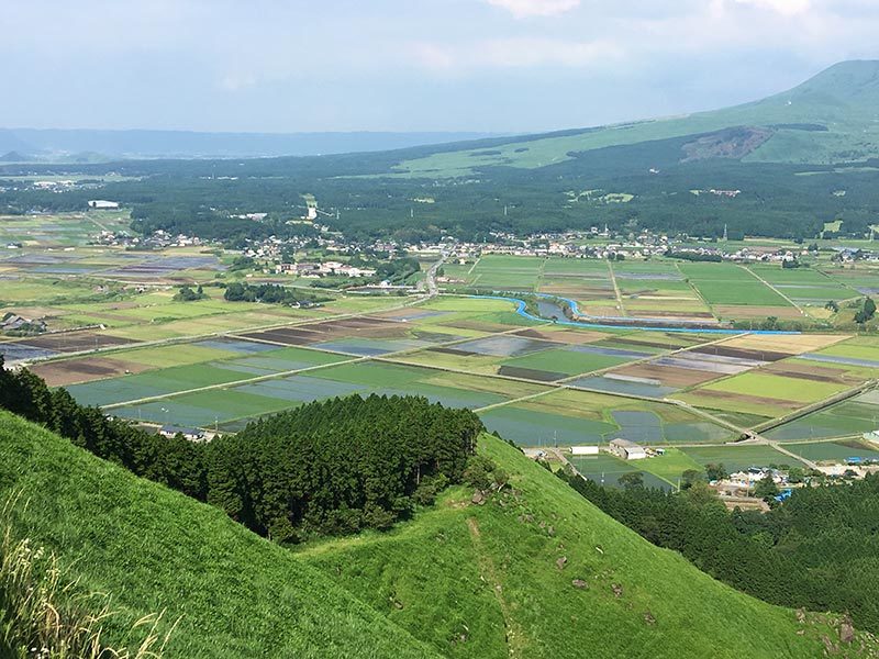 b0031558_15321364.jpg