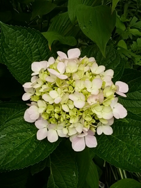 f0200871_0113645.jpg