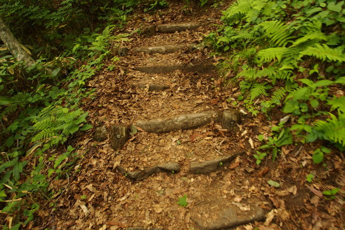 e0307372_15243055.jpg