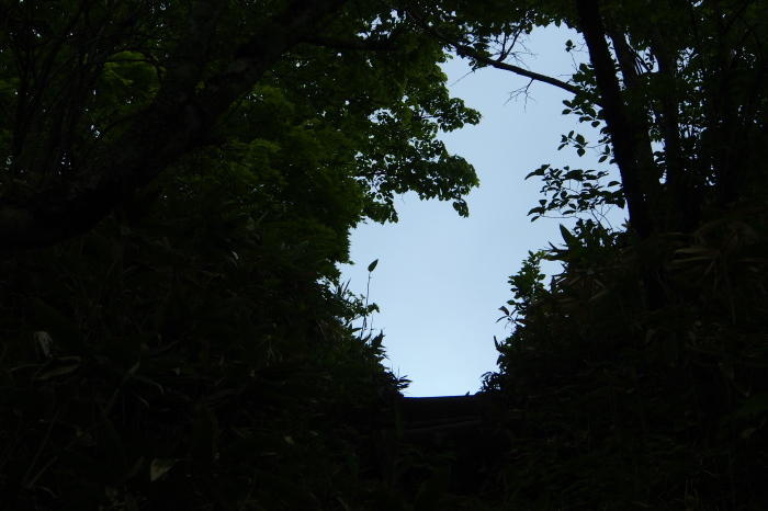 e0307372_15320573.jpg