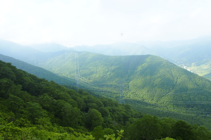 e0307372_15344284.jpg
