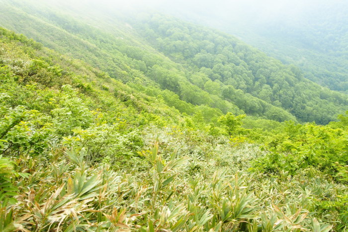 e0307372_17055487.jpg