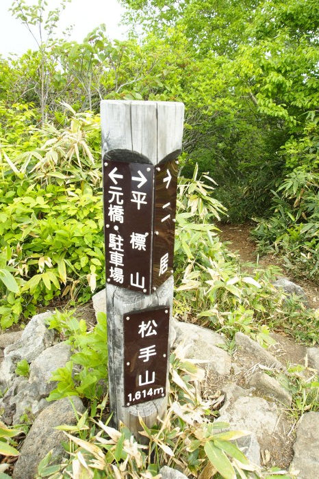 e0307372_21224960.jpg
