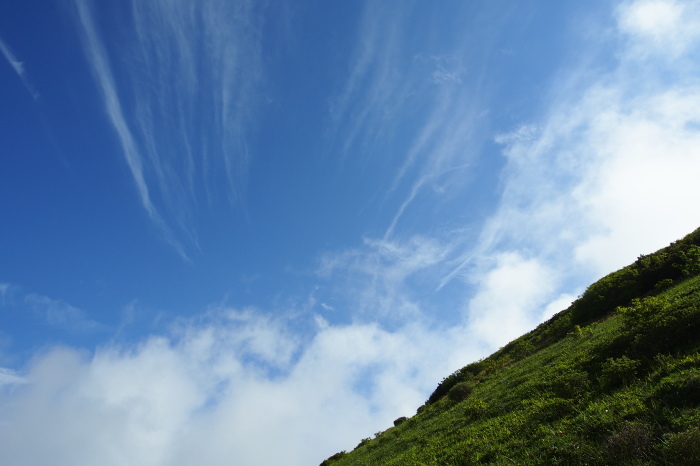 e0307372_21492539.jpg