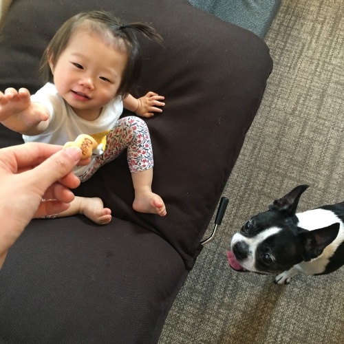 d0041575_21231590.jpeg