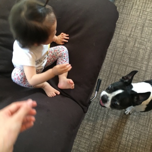 d0041575_21240683.jpeg