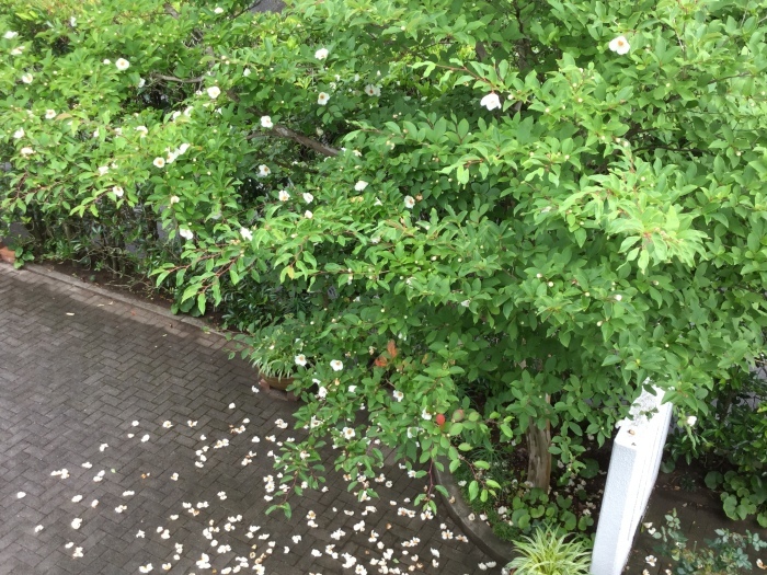 f0268294_23580921.jpeg