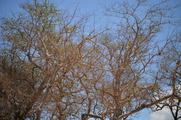 f0174198_20515696.jpg