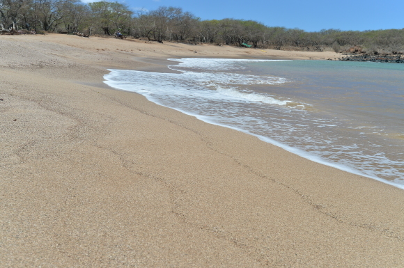 f0174198_20523464.jpg
