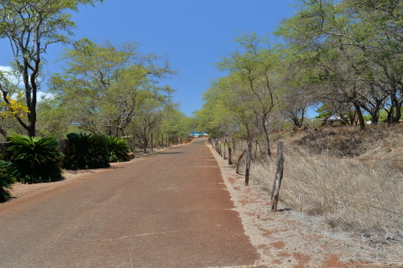 f0174198_20541180.jpg