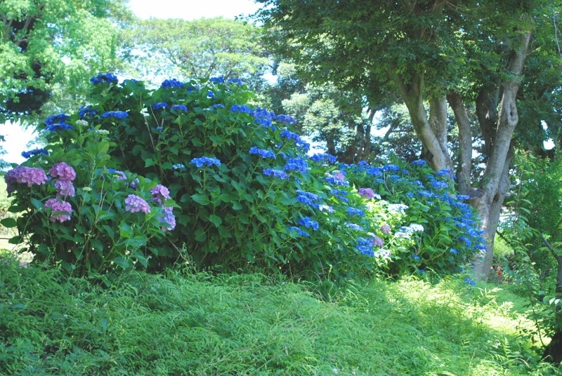 e0025300_1721470.jpg