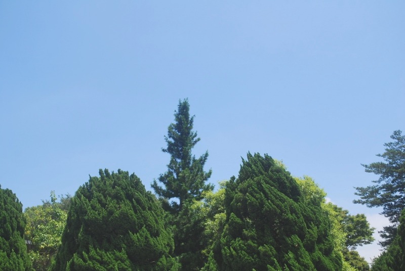 e0025300_173275.jpg