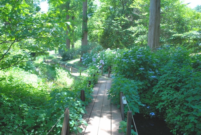 e0025300_17344780.jpg