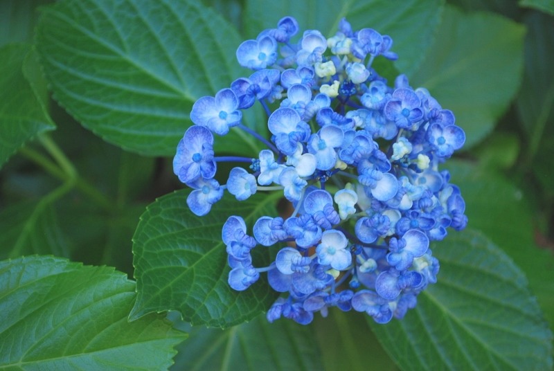e0025300_1737102.jpg