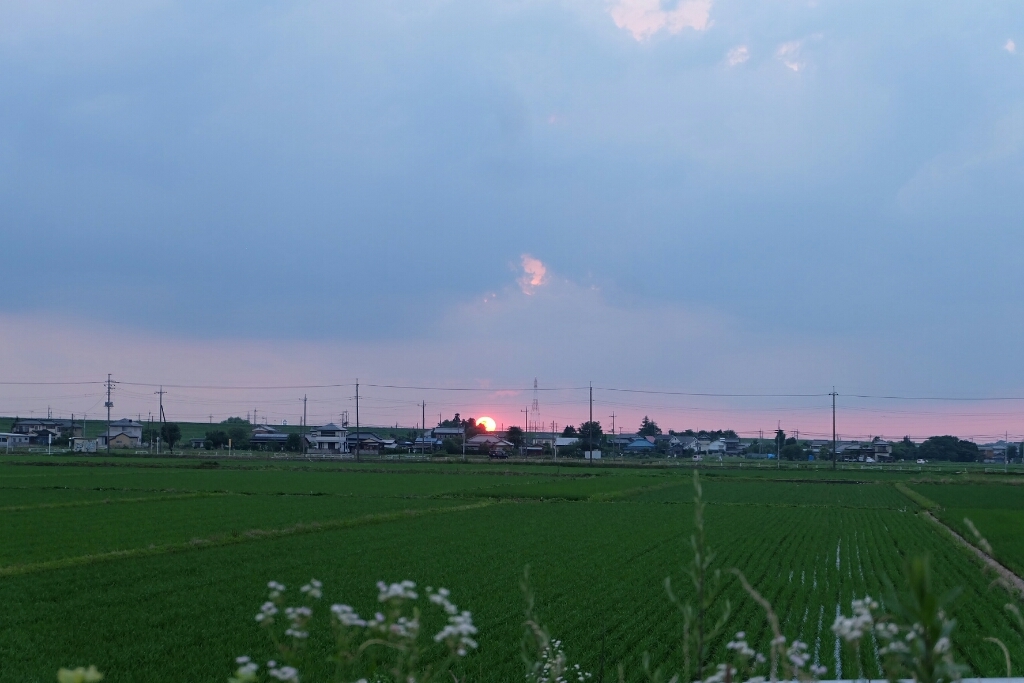 f0113108_04494484.jpg