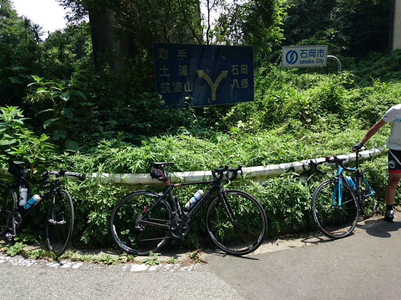 f0100911_2114401.jpg