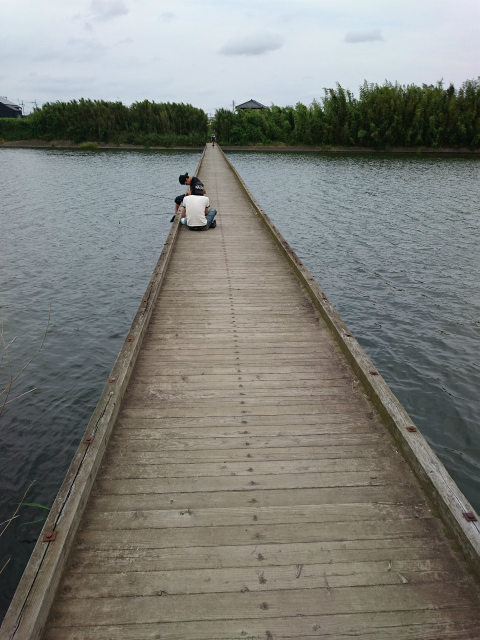 f0100911_21153657.jpg