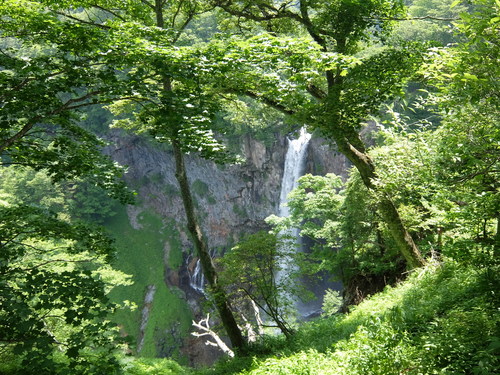 f0128821_23315937.jpg