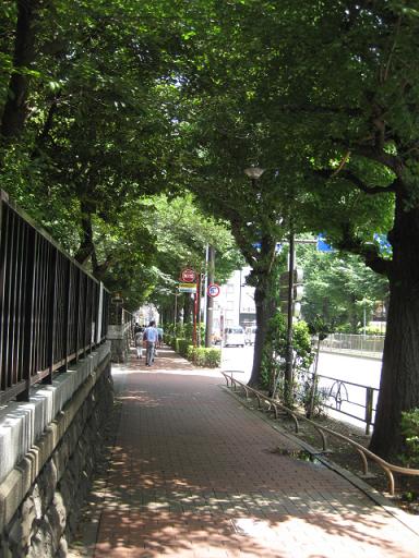 c0217931_13195919.jpg