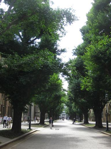 c0217931_1323245.jpg