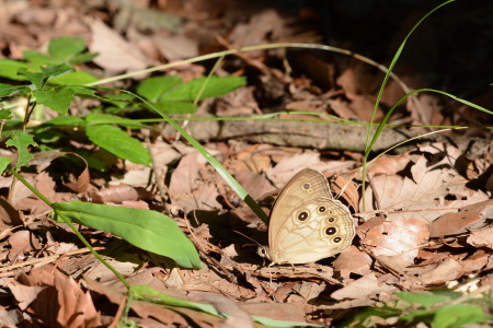 c0353632_14273791.jpg