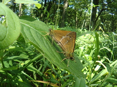 c0353632_15565627.jpg