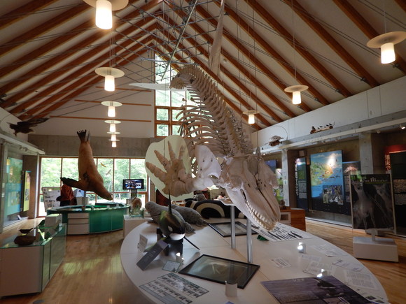 f0118332_2137149.jpg