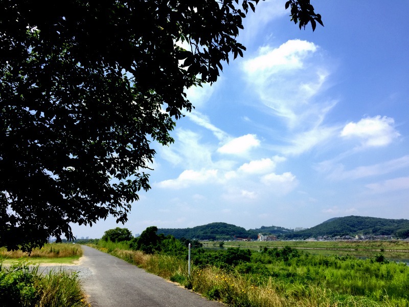 b0057140_18405315.jpg