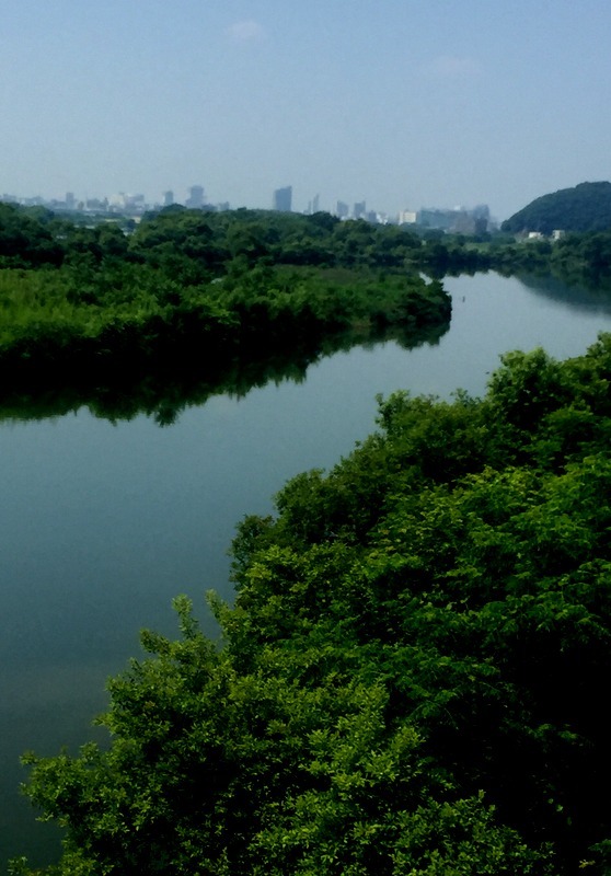 b0057140_18412507.jpg