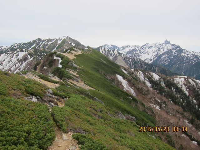 b0148050_20514370.jpg