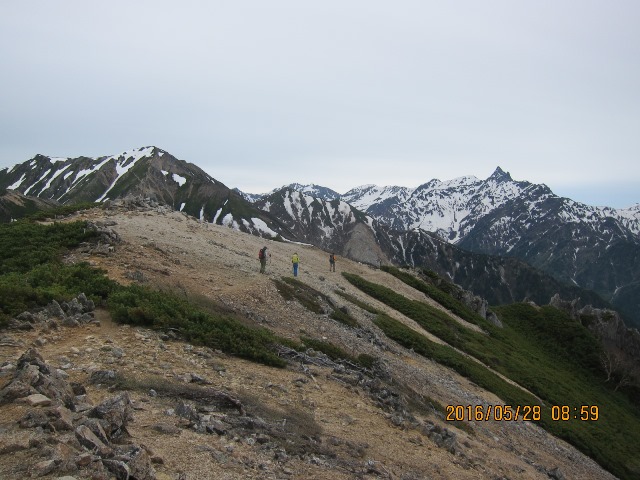 b0148050_20555837.jpg